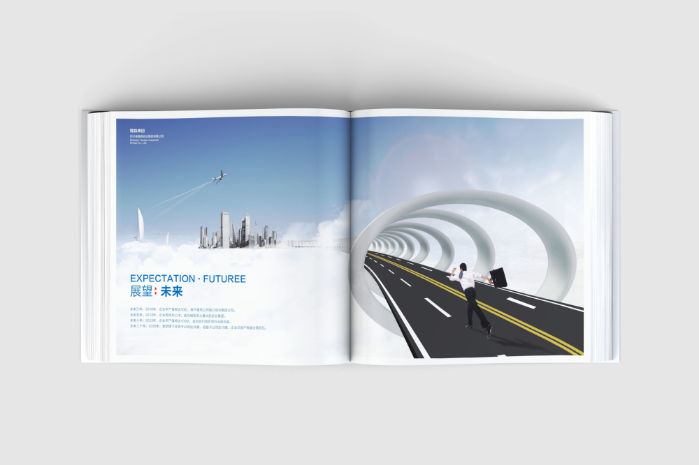 来凤县画册设计